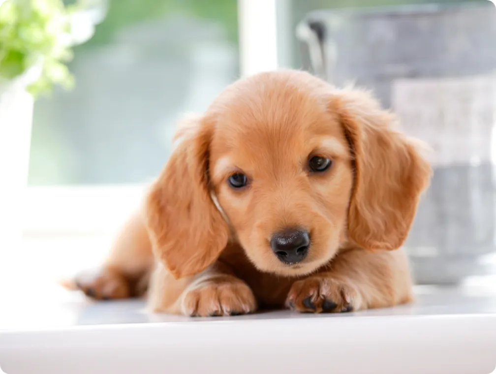 Nスタイルホーム×イーテックサービス