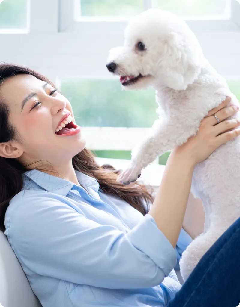 犬に対する思い